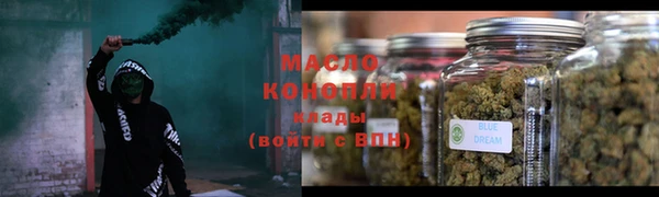 mix Богородицк