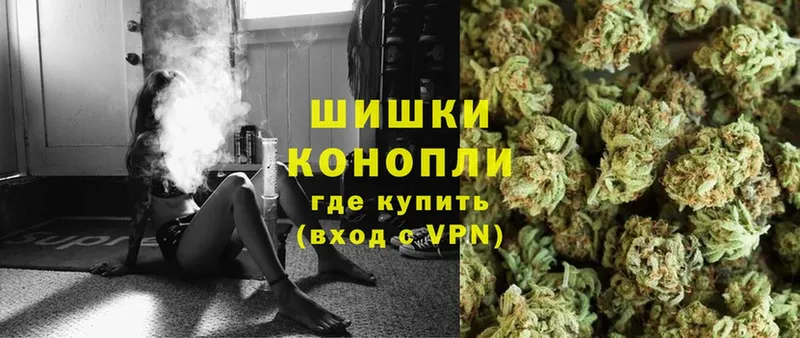 Марихуана SATIVA & INDICA  дарнет шоп  Гусь-Хрустальный 